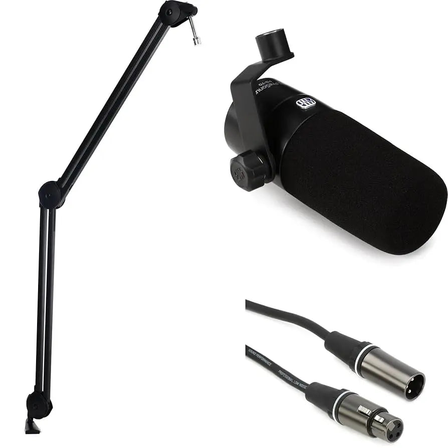 Studio microphone with stand and cables 