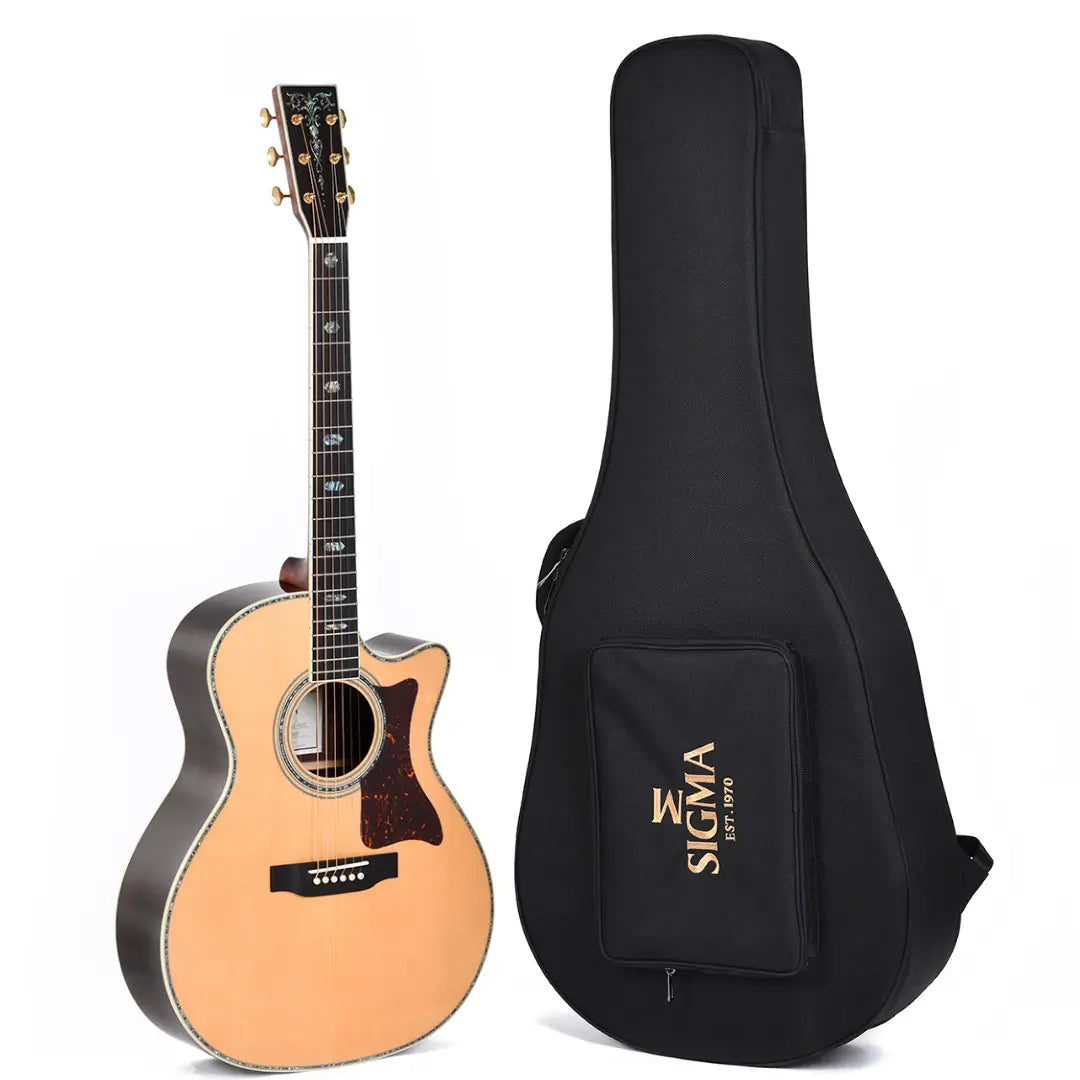 Acoustic guitar with Sigma branded case