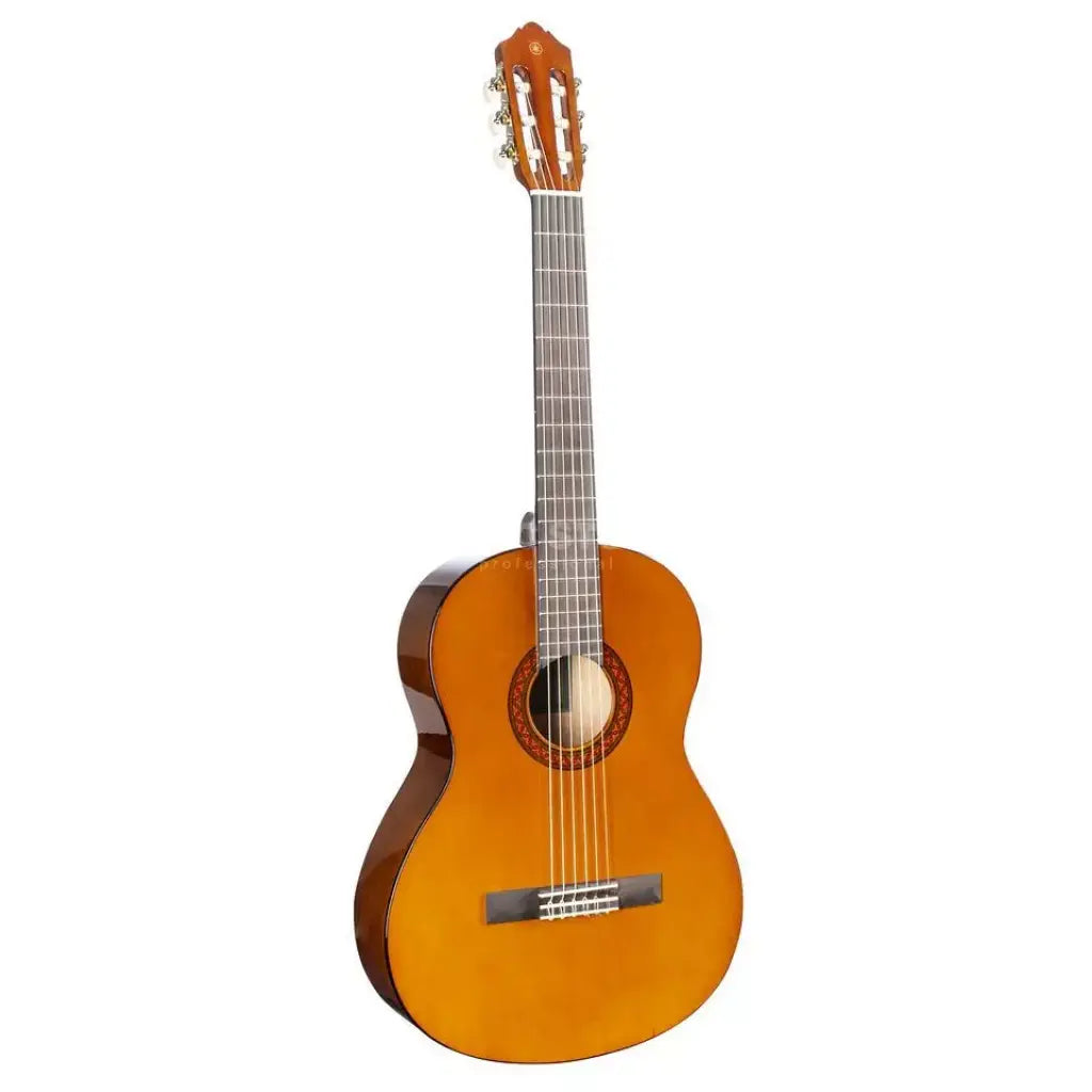 Classical guitar with a wooden body and neck 