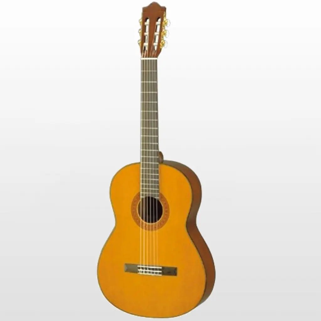 Classical guitar 