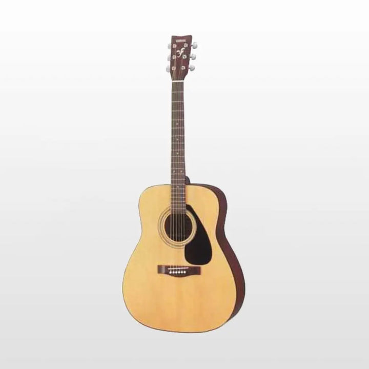 Acoustic guitar 